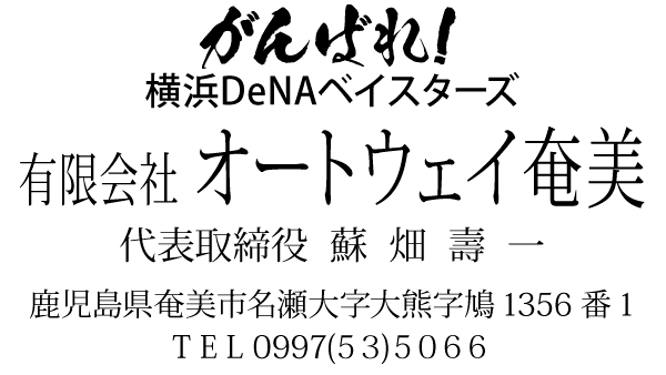 〜歓迎〜 横浜DeNAベイスターズ
