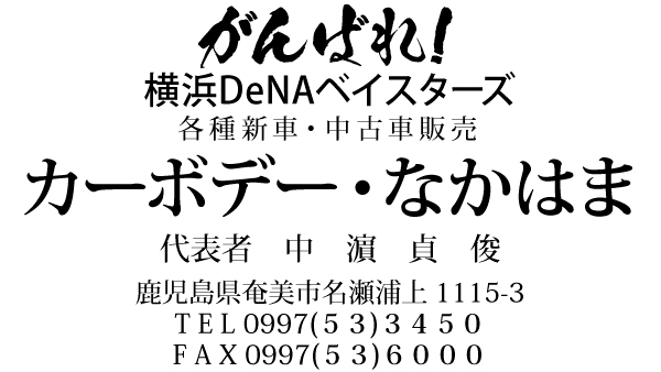 〜歓迎〜 横浜DeNAベイスターズ
