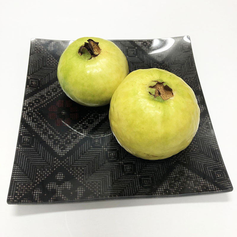 初物グァバ!収穫☆ 初物グァバ!収穫☆