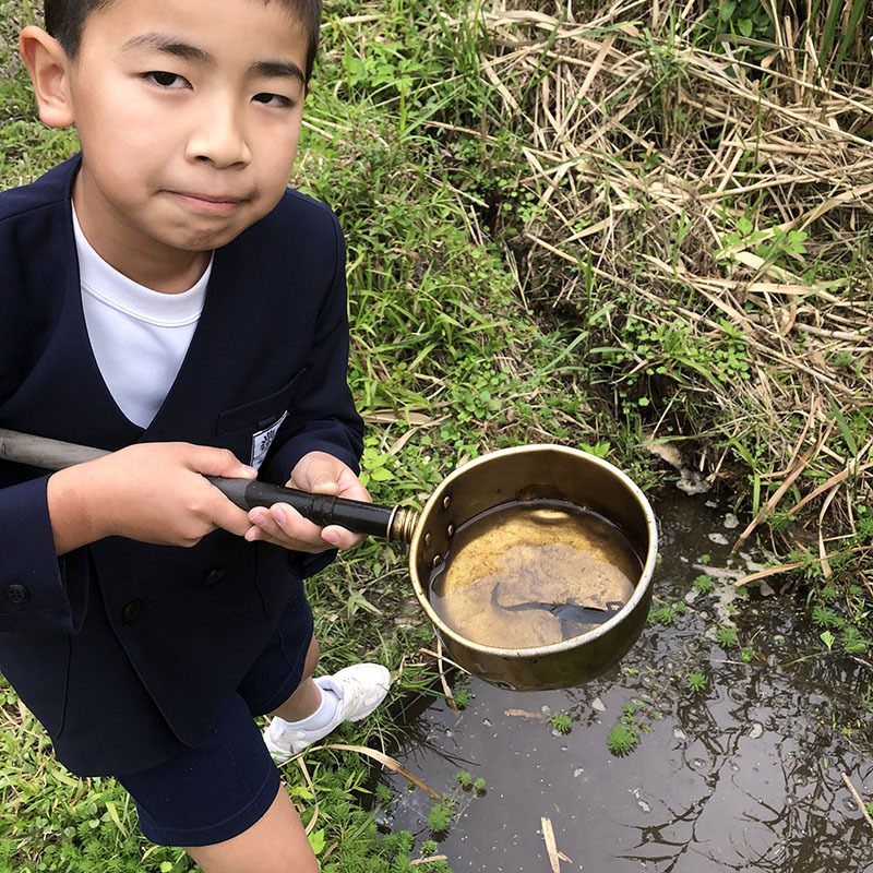 泥田は遊び場☆ 泥田は遊び場☆