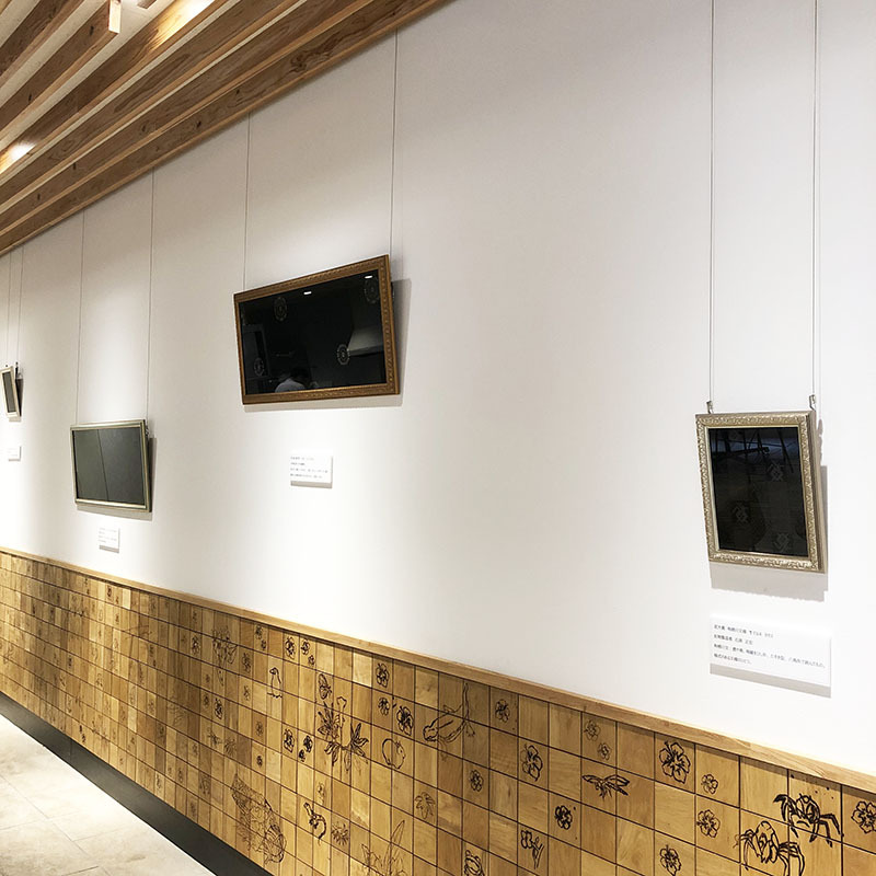 奄美市役所に展示されてます☆ 奄美市役所に展示されてます☆