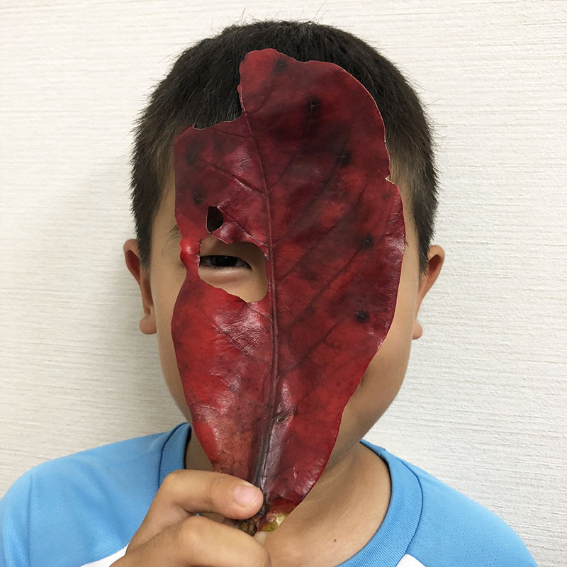 そろそろ収穫&新芽の季節☆ そろそろ収穫&新芽の季節☆