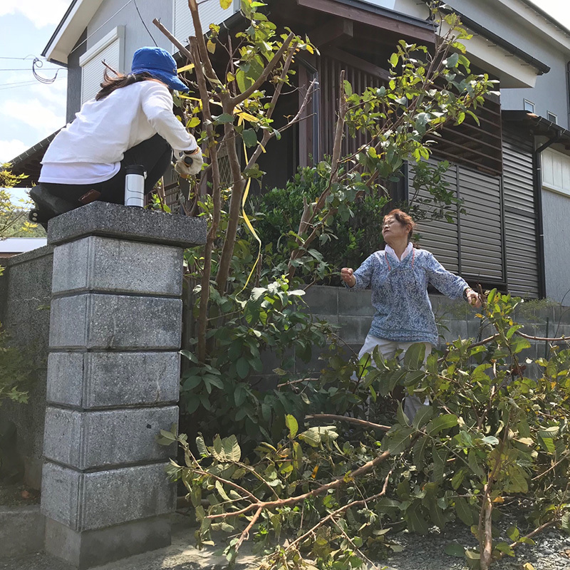 台風過ぎてお掃除中☆ 台風過ぎてお掃除中☆
