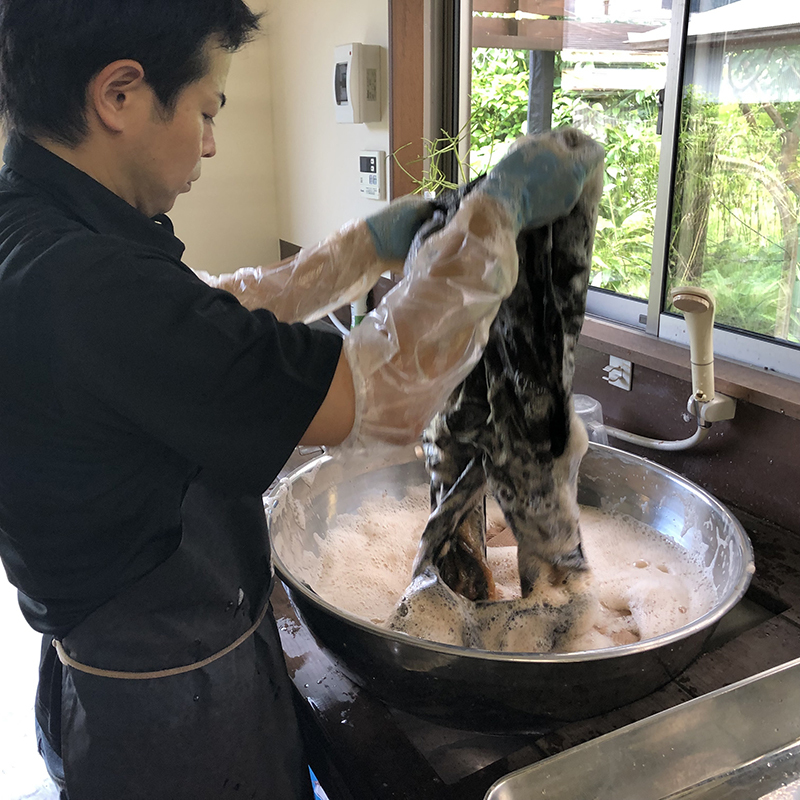 今日はテーチ木染色デー☆ 今日はテーチ木染色デー☆
