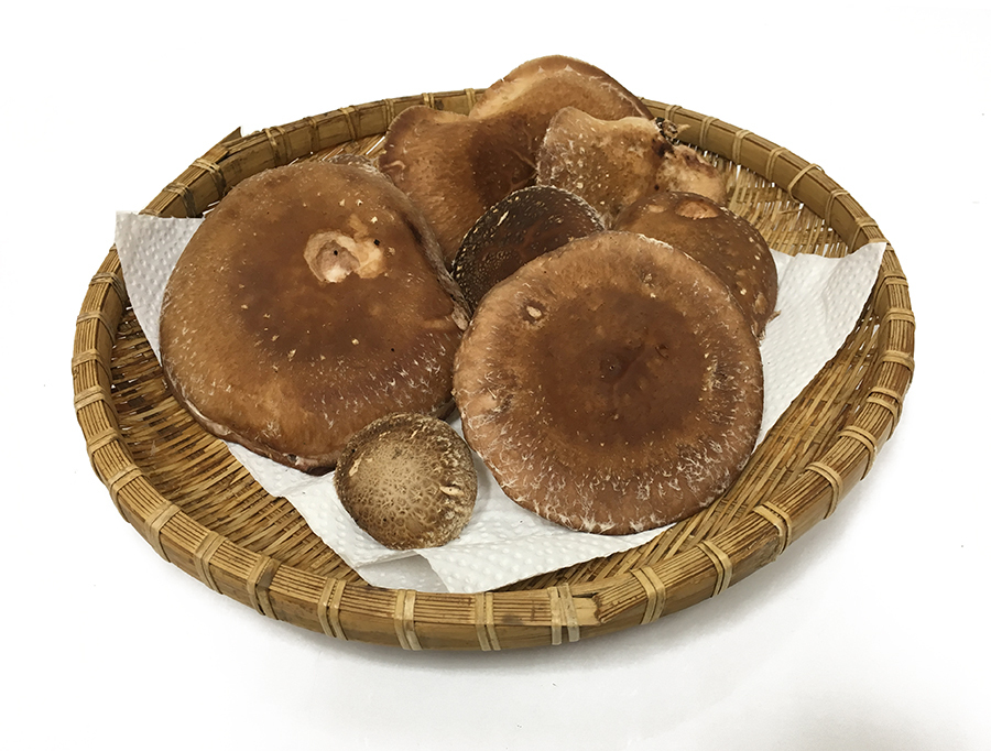 今日の収穫☆ 今日の収穫☆