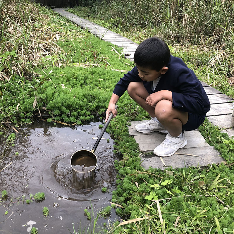 泥田は遊び場☆ 泥田は遊び場☆