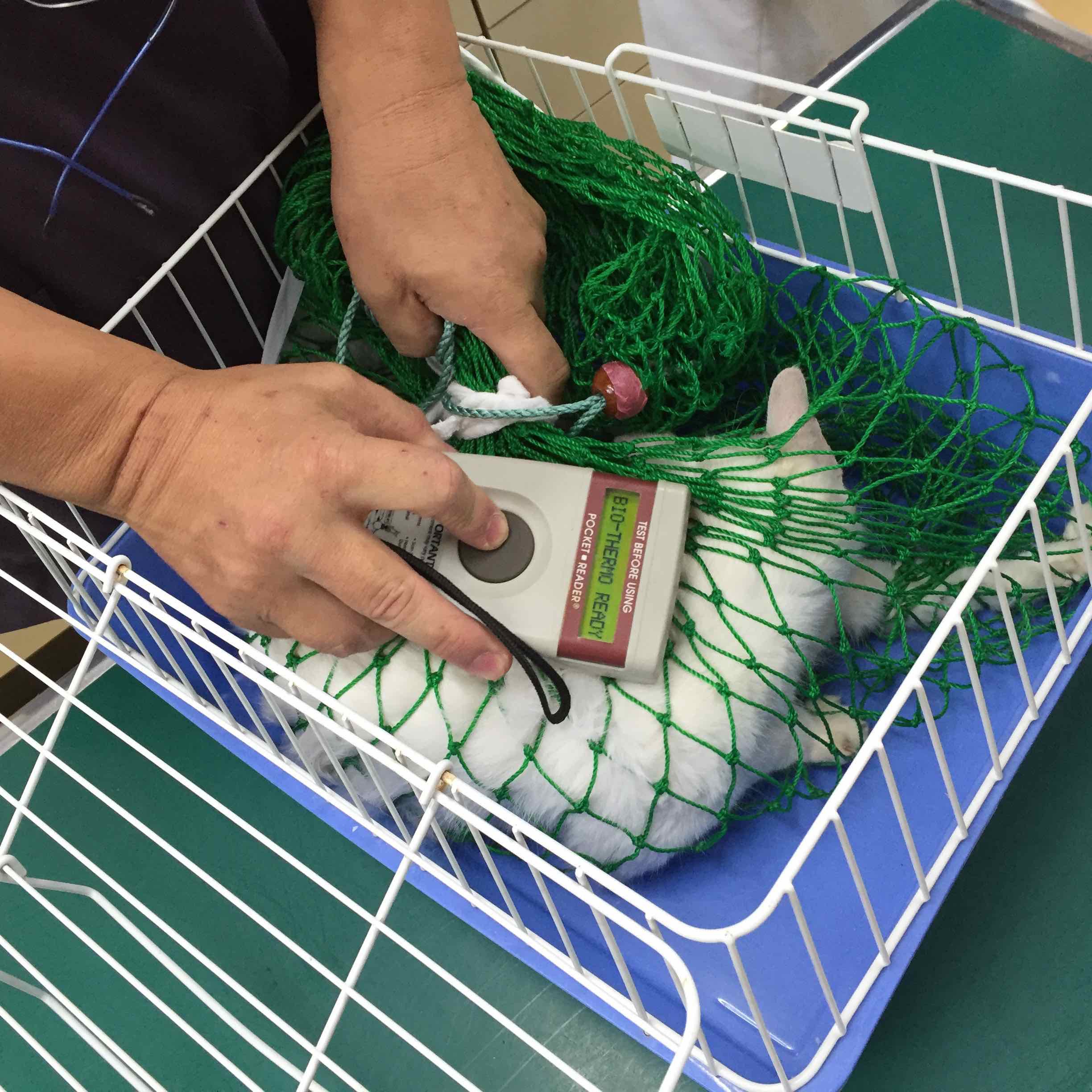 TNRのご報告 TNRのご報告