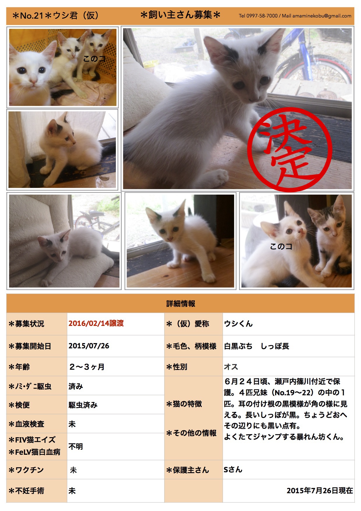 No.21(仮)ウシ君 No.21(仮)ウシ君