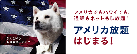 ☆アメリカ放題☆ ☆アメリカ放題☆