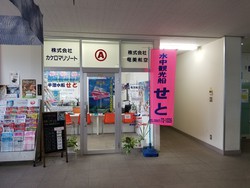 10月14日の記事 10月14日の記事