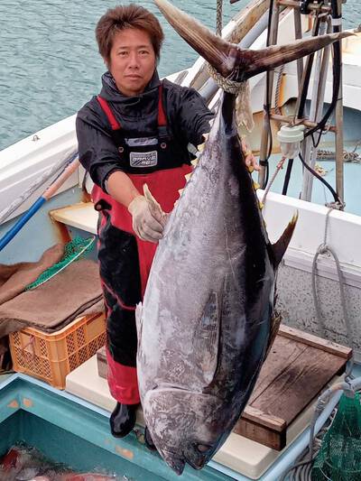 メバチのマグロちゃん! メバチのマグロちゃん!