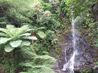 加計呂麻唯一の「嘉入」の滝