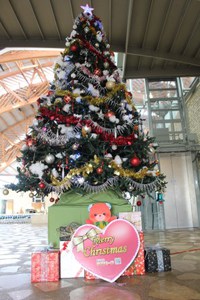 奄美パーク　クリスマスツリー設置完了！