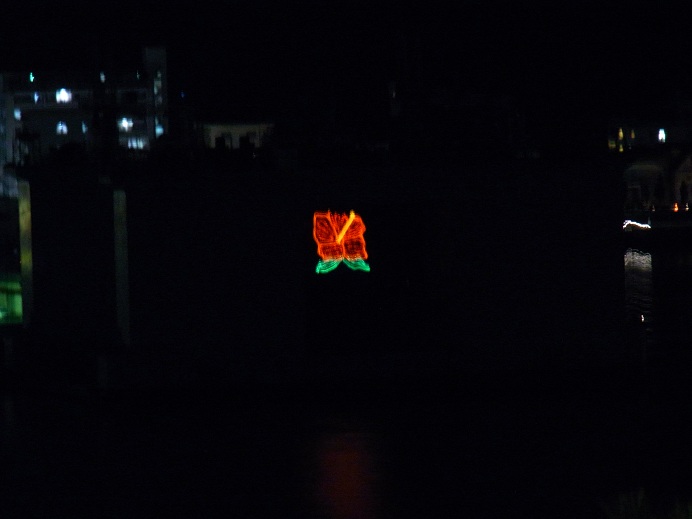 ハイビスカス