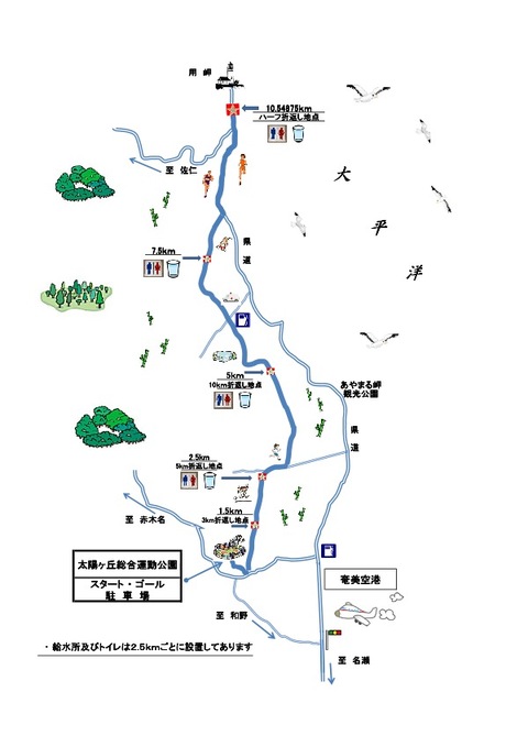 桜マラソン 2011