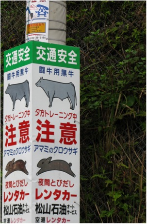 も〜れつバンビ