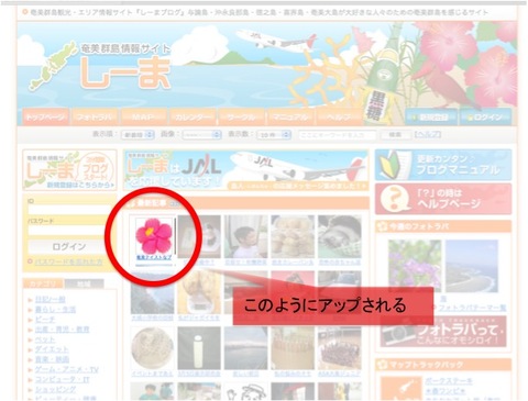 奄美テイストなブログを書こう☆