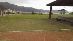何でも広場☆