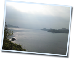 今朝の海☆