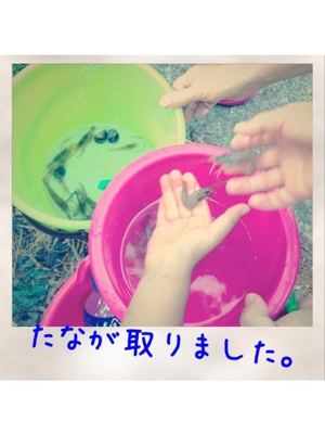 たなが