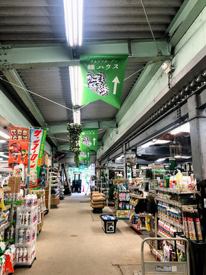 2019 蝶ハウス案内 2019 蝶ハウス案内