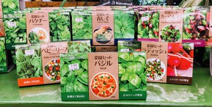 2019 家庭菜園 2019 家庭菜園