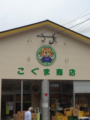 こぐま