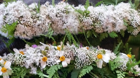 先週行った金作原は少し肌寒い♪ 先週行った金作原は少し肌寒い♪