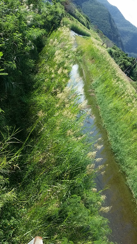 ビックツー裏の川と山が素敵に見える橋♪ ビックツー裏の川と山が素敵に見える橋♪
