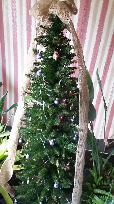 BRUNOA★Xmas★ツリー飾ったよー♪ BRUNOA★Xmas★ツリー飾ったよー♪