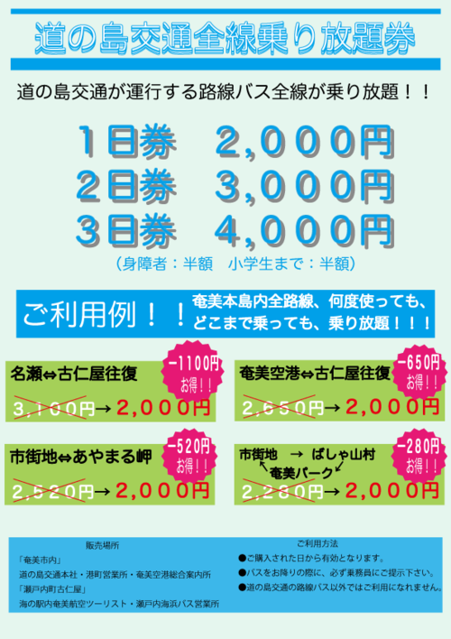 バス乗り放題券