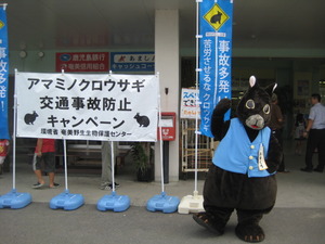 アマミノクロウサギ交通事故防止キャンペーン