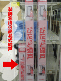 オススメ商品ご紹介☆