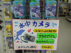 夏ラスト!