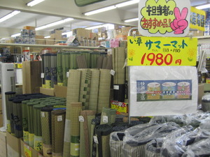 担当者オススメ品!