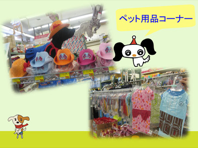 愛犬を可愛く♪