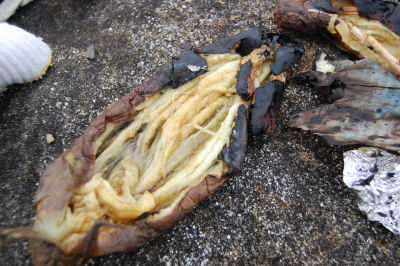 焼き芋報告です