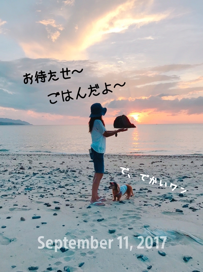 おまた~ おまた~