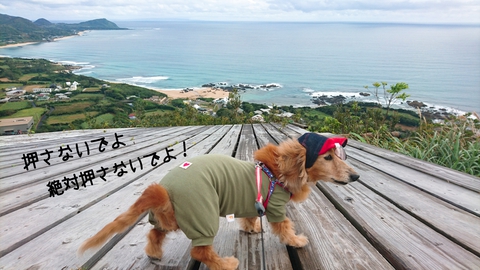 (笑) (笑)