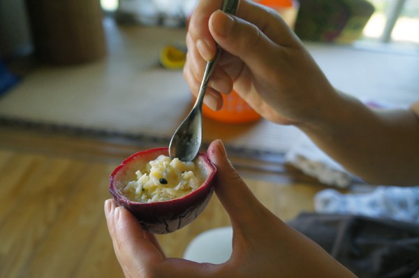 奄美大島　アイスクリームメーカーを使った無添加手作りパッションフルーツのアイスクリーム♪