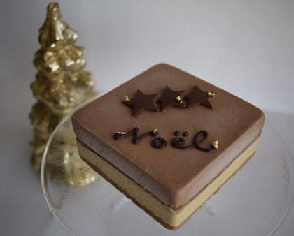 クリスマスにジェラートケーキはいかがですか。奄美大島農場直営のジェラート屋さんLafonte（ラフォンテ）