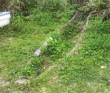 島歩き 島歩き