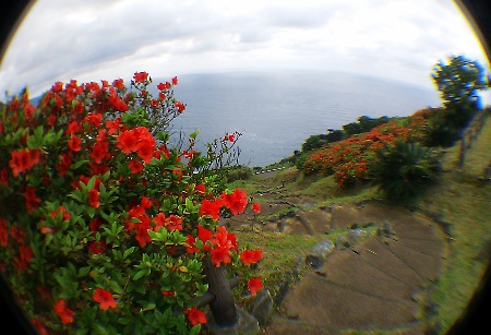 島歩き 島歩き