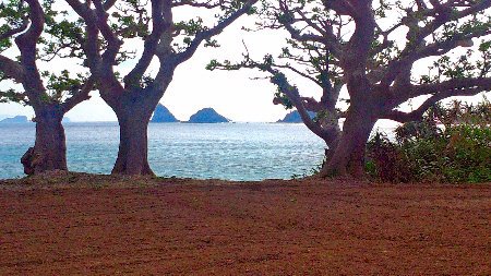 島の風景 島の風景