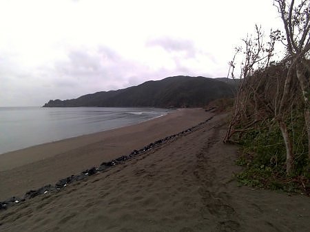 嘉徳~節子 嘉徳~節子