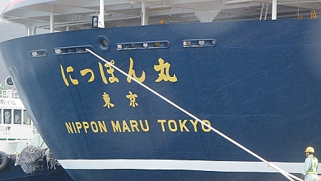 タンカン畑の収穫後
