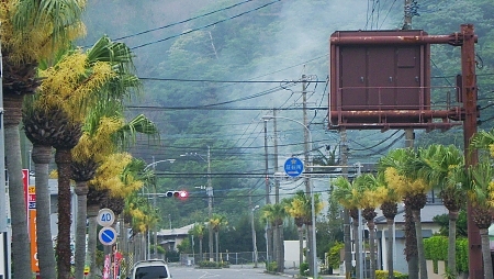 花、花火 花、花火