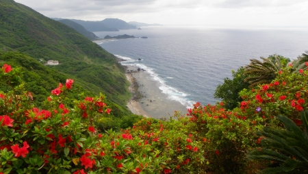 島歩き 島歩き