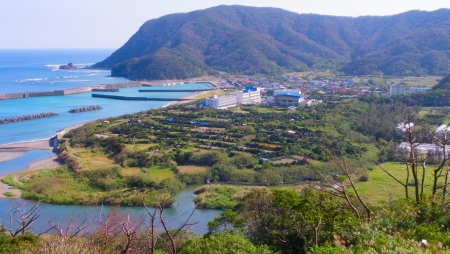 暖かい日でしたね 暖かい日でしたね