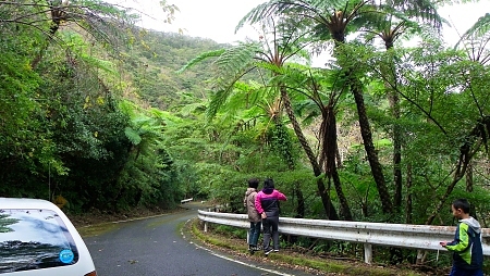 湯湾岳 湯湾岳